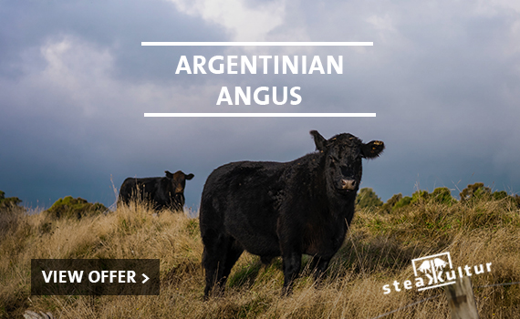 Argentinian Angus