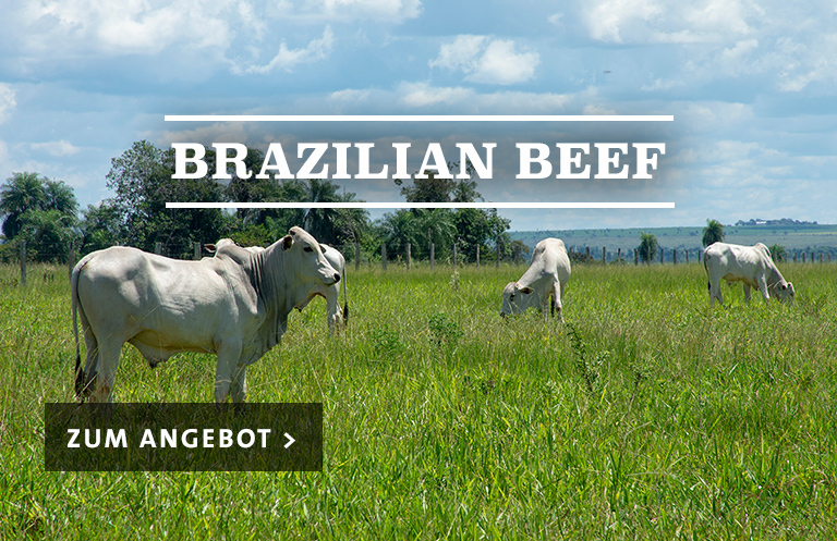 Brazilian Beef - Steakhaus für zu Haus'