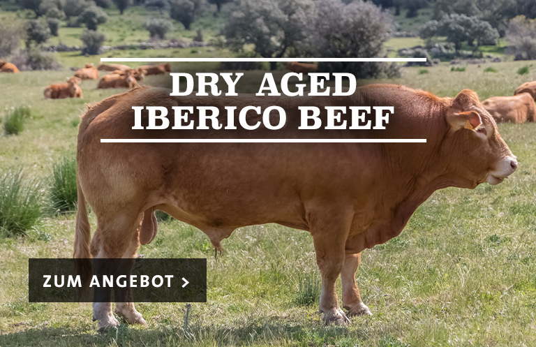 Dryaged Iberico Beef