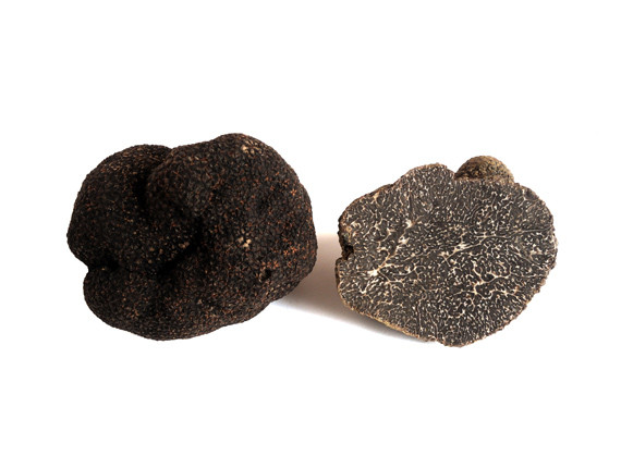 "Black Winter Truffles – Tuber Melanosporum"